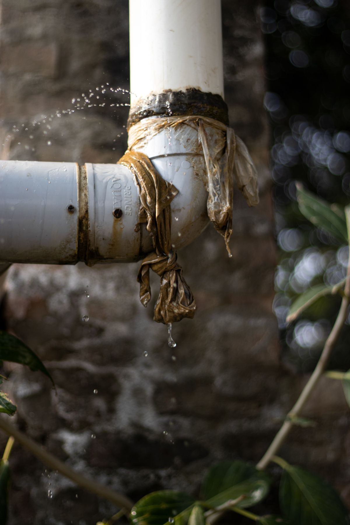 Gros plan sur une canalisation présentant une fuite d'eau